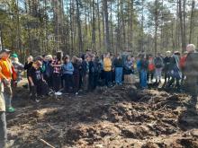 Akcja ,,Łączą nas drzewa''