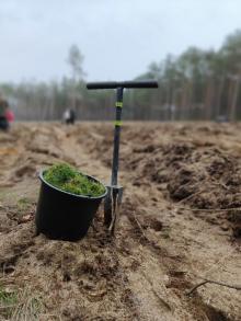 SADZIMY Z IKEA INDUSTRY WIELBARK