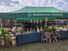 Aktywność wielbarskich leśników