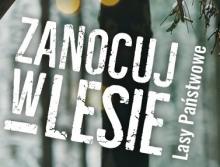 Zanocuj w lesie