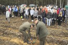 WSPÓLNE SADZENIE LASU